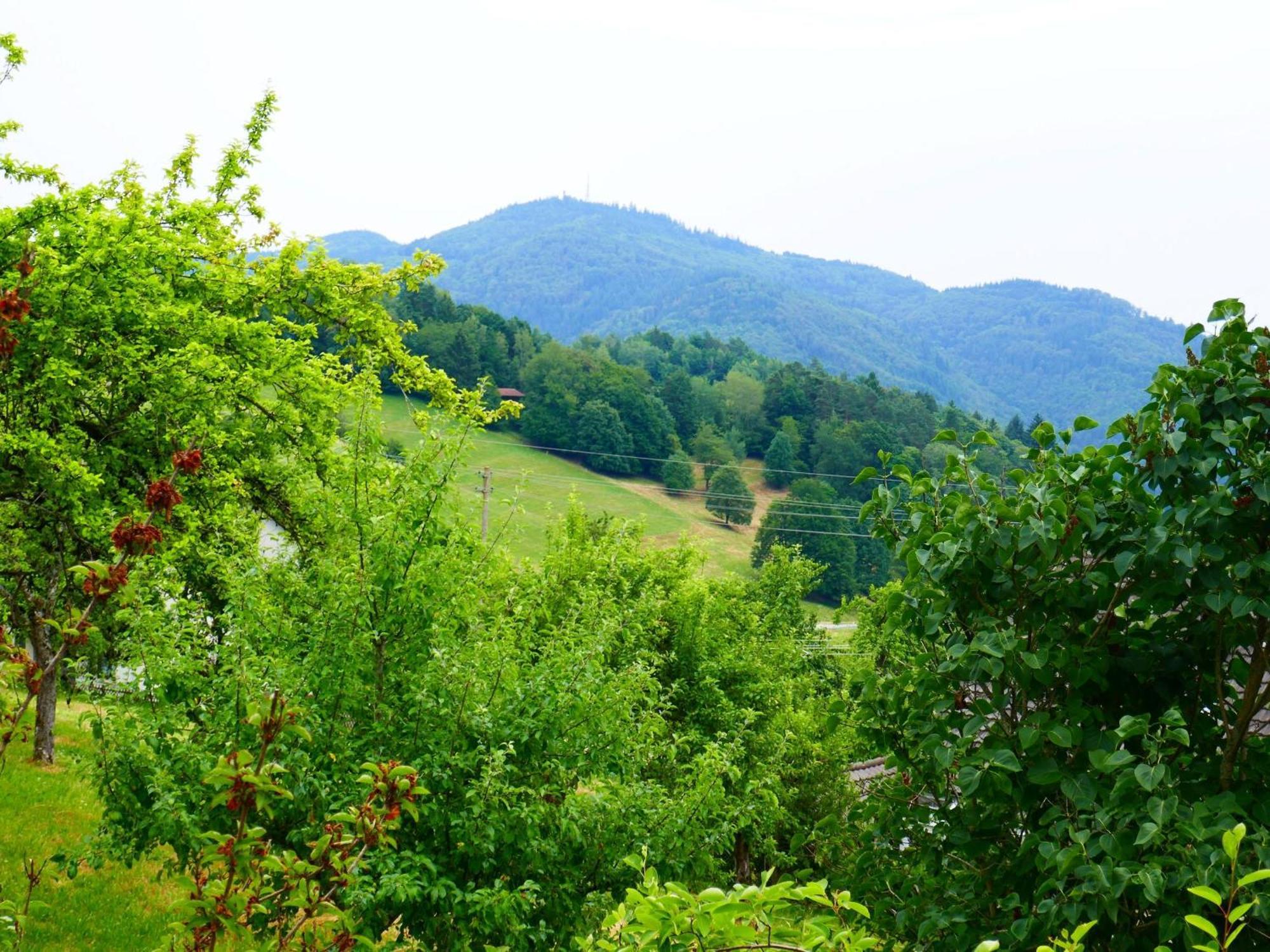 Zell im WiesenthalHaus Landblick公寓 外观 照片