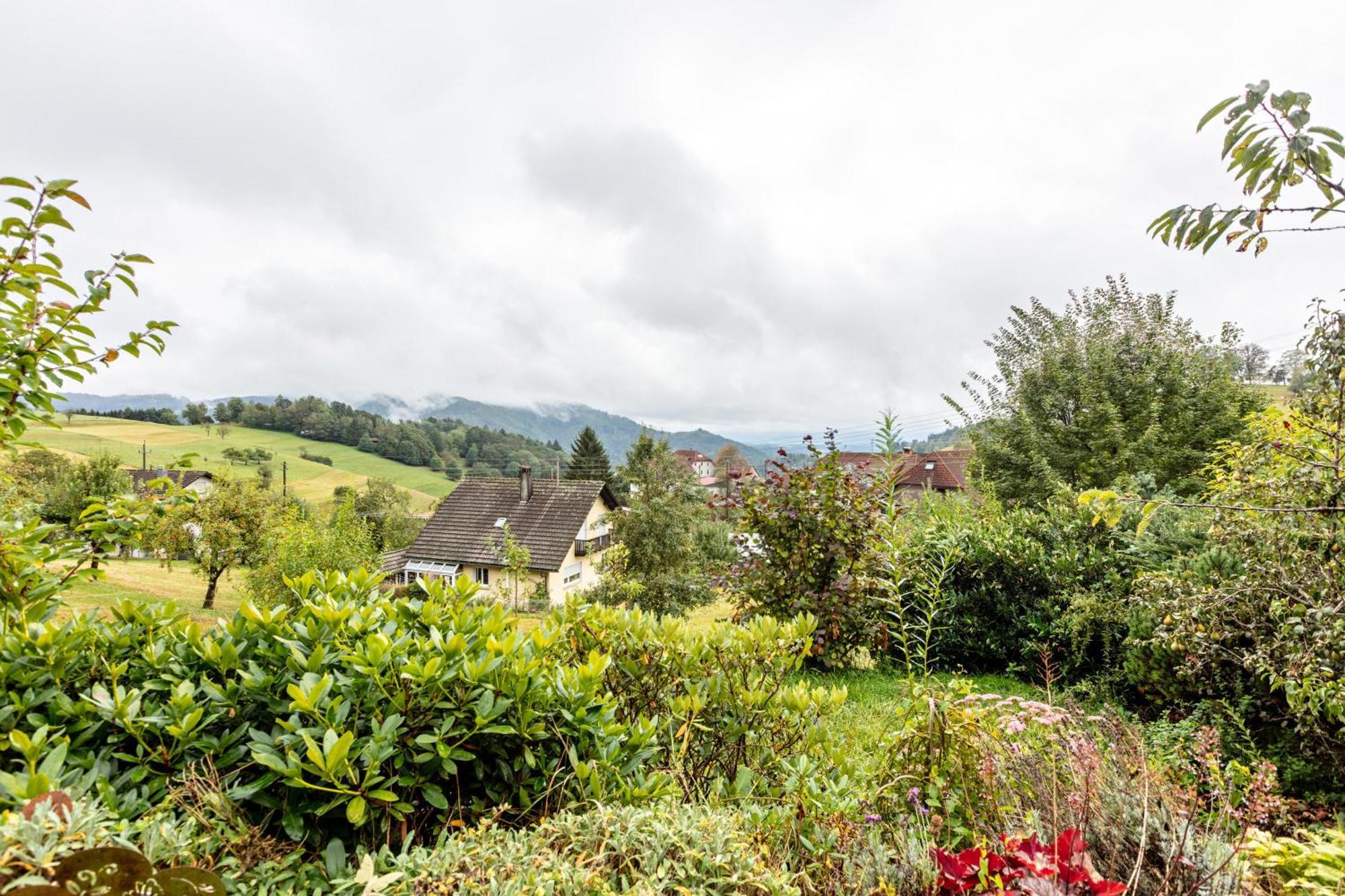Zell im WiesenthalHaus Landblick公寓 外观 照片